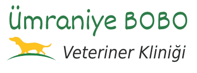 Awesome Logo